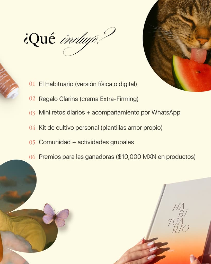 Florece Bonito 🌷 FÍSICO